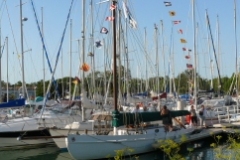 SB Clapotis