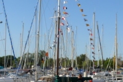 SB Clapotis