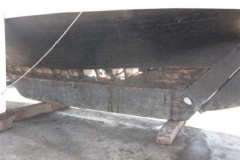 Coque2010-05-17-006