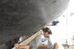 Coque2010-06-02-14-47