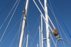 SB Clapotis