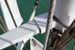 SB Clapotis