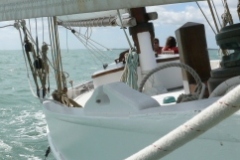 SB Clapotis