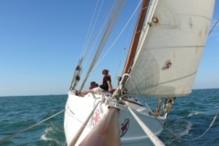 SB Clapotis