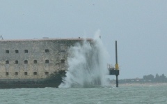 SB Clapotis