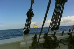 SB Clapotis