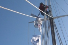 2009-05-22-07-37-1