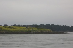 2009-05-24-06-52-1