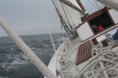 2009-05-24-14-3-1