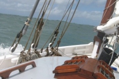 2009-05-17-11-59-1