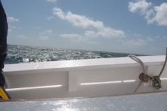 2009-05-17-13-54-2