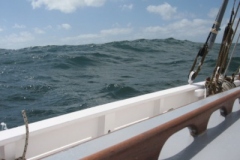 2009-05-17-13-55-1
