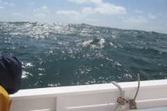 2009-05-17-13-55-2