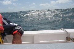 2009-05-17-13-55-4
