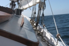 2009-05-17-15-28-1