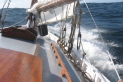 2009-05-17-15-29-2