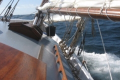 2009-05-17-15-29-3