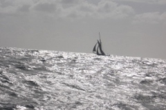 2009-05-18-07-52-1