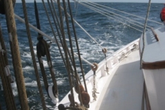 2009-05-18-14-16-1