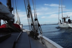 2013-05-06-11-4101