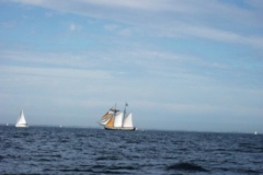 2013-05-06-12-47-101