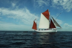 2013-05-06-13-2501