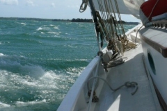 2013-05-09-16-3101