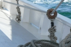 2013-05-05-12-15-301