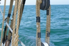 2013-05-05-12-16-101