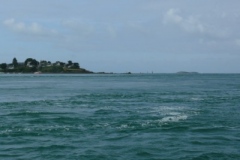 2013-05-12-11-2401