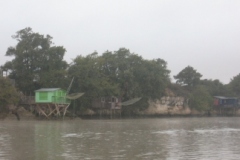 SB Clapotis