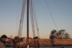SB Clapotis