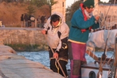 SB Clapotis