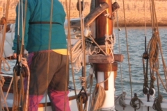 SB Clapotis