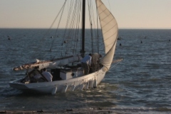 SB Clapotis