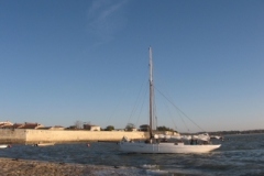 SB Clapotis