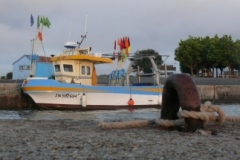 2008-08-05-165
