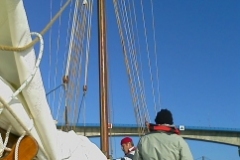 SB Clapotis