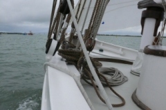 SB Clapotis