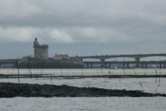 2008-08-04-122