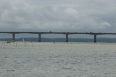 2008-08-04-131