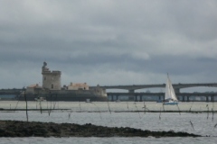 2008-08-04-137
