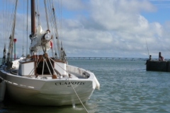 2008-08-04-141