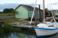 SB Clapotis