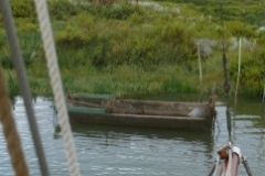 SB Clapotis