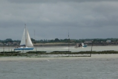 SB Clapotis