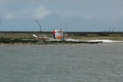SB Clapotis