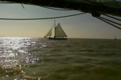SB Clapotis