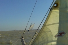 SB Clapotis