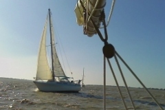 SB Clapotis